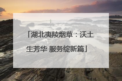 湖北夷陵烟草：沃土生芳华 服务绽新篇